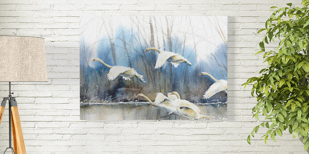 White swans flying over water, 