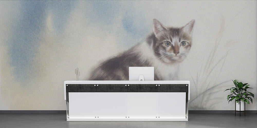 Tabby cat on blue and white watercolor background, Reception